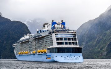 Cruise (Gemi Turu) Nedir?
